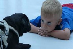 boy and dog